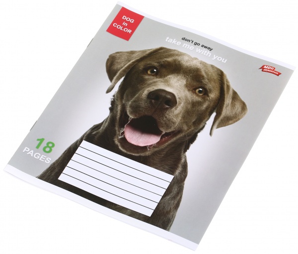 Тетрадь школьная уф-лак 18 листов в линейку в ассортименте Мечты сбываются