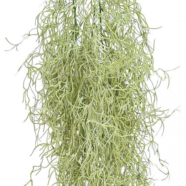 Гілочка декоративна Тілландсія-павутинка 100 cм TW-35 Engard