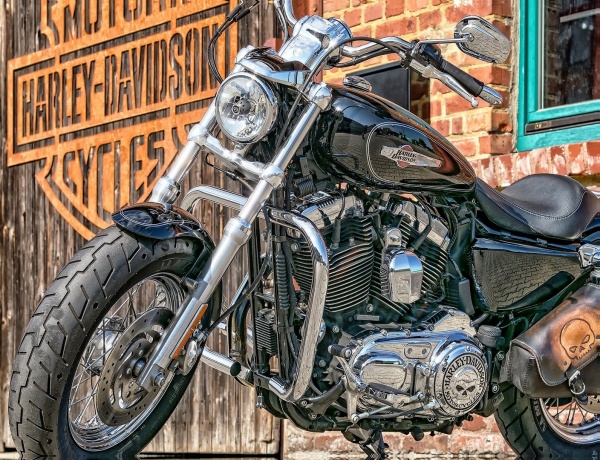 Репродукция Мотоцикл Харлей 60x80 см Арт Фемелі 