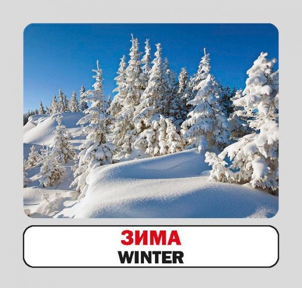 Книга «Навчальний посібник. Пори року. англ-укр»