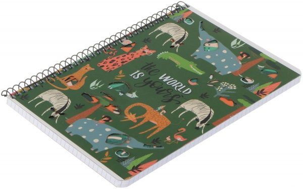 Тетрадь школьная А5 80 листов в клеточку A5-SC-080-6081K Student Школярик