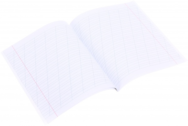 Зошит шкільний 12 аркушів у косу лінію в асортименті Мрії збуваються