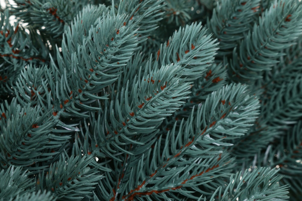 Гирлянда хвойная Siga Group Венская литая голубая 2,5 м (ГВБ -2,50)