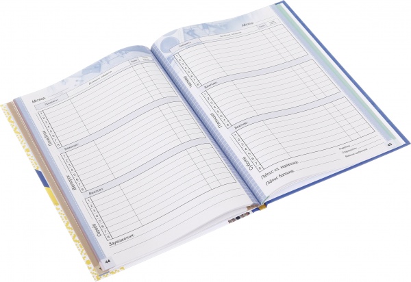 Дневник 734 7БЦ матовая ламинация 165х240 мм 40 листов Mandarin