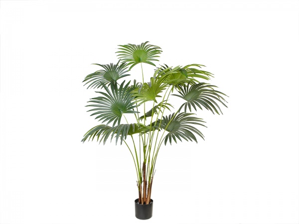 Дерево штучне Fan Palm (DW-28) Engard