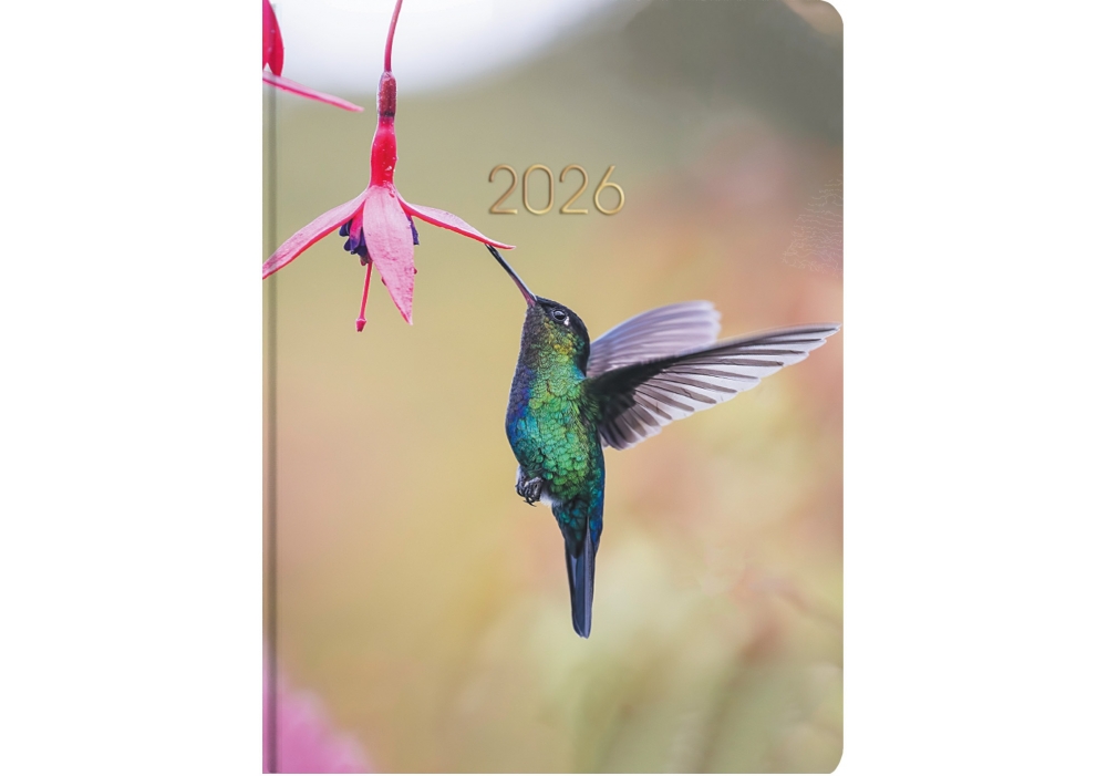Щоденник датований Колібрі Economix A5 2026