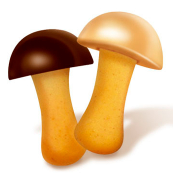 Печиво Загора Єлісєївські грибочки в асортименті 900 г 