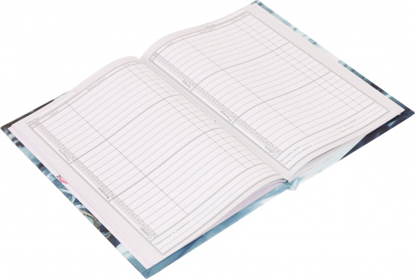 Дневник школьный Anime 4 Nota Bene