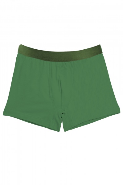 Труси для хлопчиків KOSTA р.158-164 зелений хакі 2447-6 