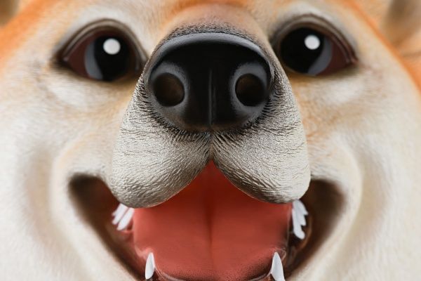 Іграшка-рукавичка Same Toy Собака X325UT