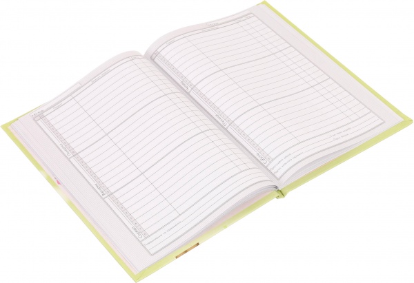 Дневник школьный Anime 2 Nota Bene