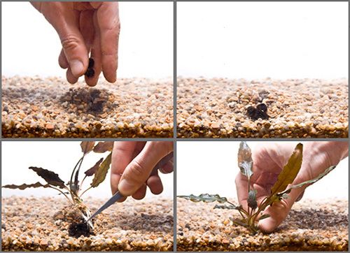 Удобрение AQUAYER для аквариумних растений Удо Ермолаева таблетки 90 шт.