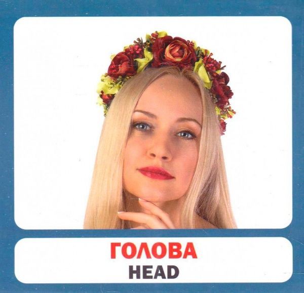 Книга «Навчальний посібник. Частини тіла»