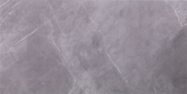 Плитка Allore Group Marmolino Grey F P NR Mat 31x61 