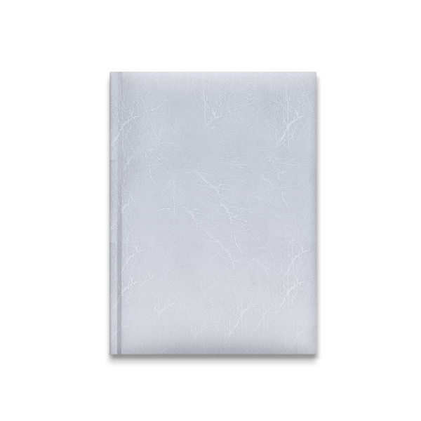 Дневник школьный Самый умный Баладек 1В03