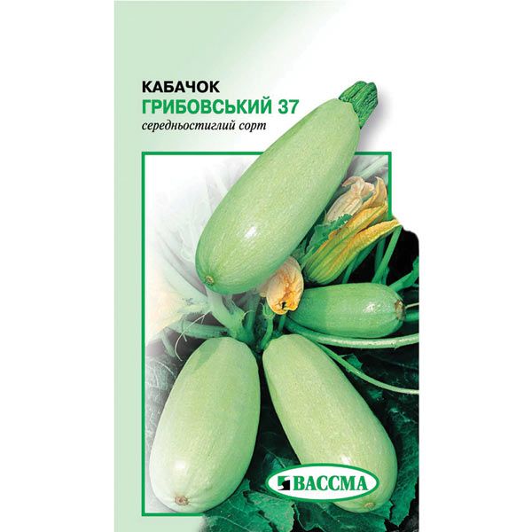 Семена Кабачок Грибовский-37 20 г