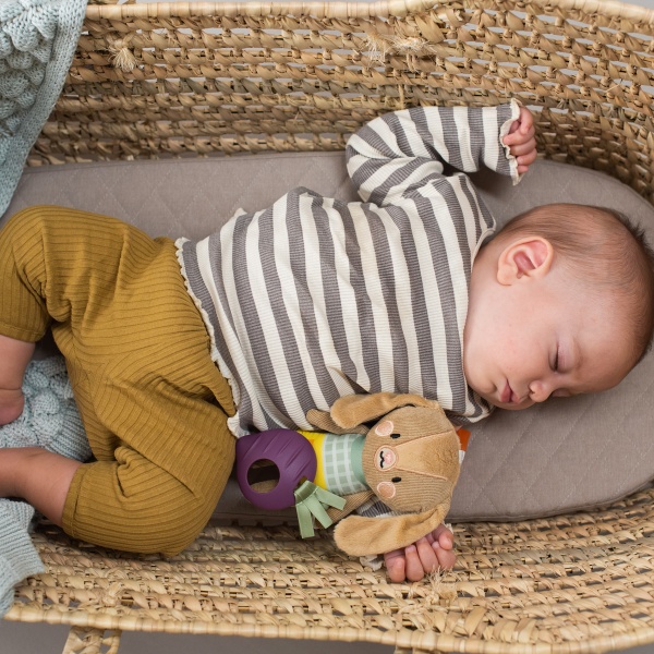 Брязкальце Taf Toys Садочок у місті Кролик Дженні 12995