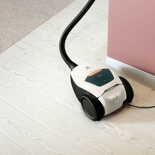 Пылесос Electrolux PD82-ALRGT 
