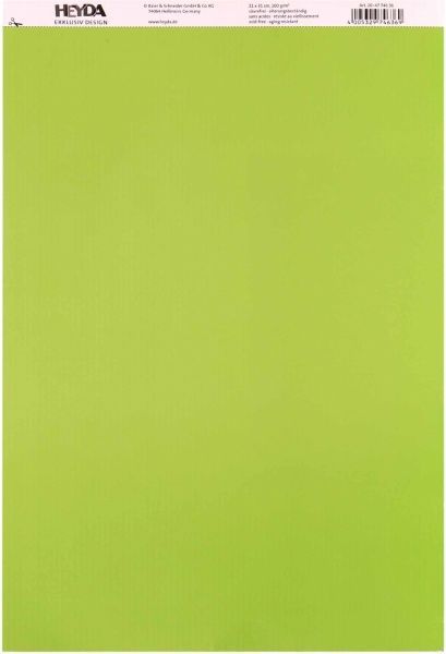 Папір з малюнком Лінійка двосторонній світло-зелений 21x31 см 200 г/м² Heyda