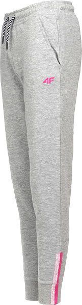 Брюки 4F HJL20-JSPDD001-25M р. 152 серый