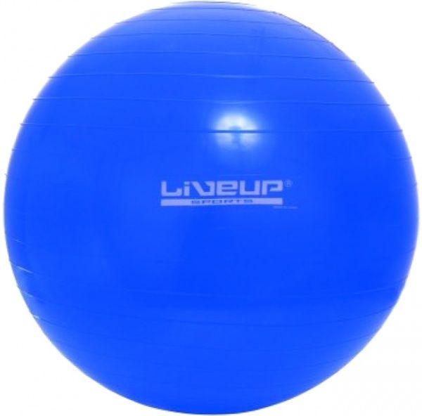 Фітбол Gym Ball d65 LS3221-65b 