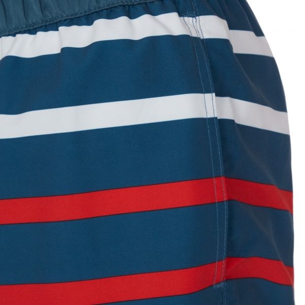 Шорты Firefly STRP4 Kris ux 302403-510 р. L разноцветный