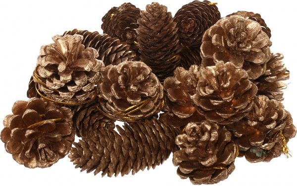 Набор шишок 6 см 18 шт./уп.  