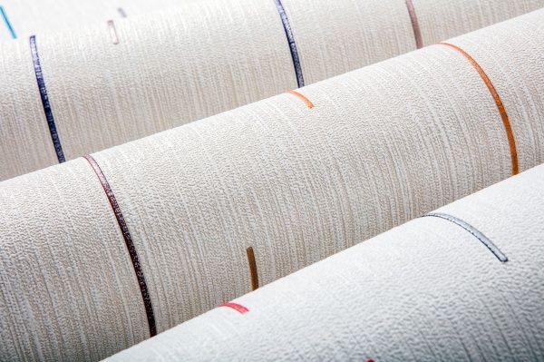 Шпалери вінілові на паперовій основі Bravo 85043BR21 0,53x10,05 м 