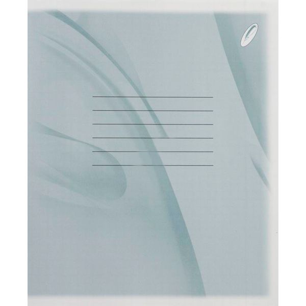 Тетрадь линия Brisk эконом 18 листов