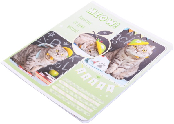 Тетрадь школьная Tadward коса