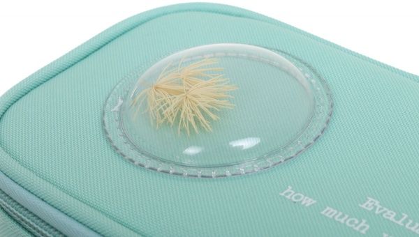 Пенал Hello з декоративною білою рослиною бірюзовий із білим