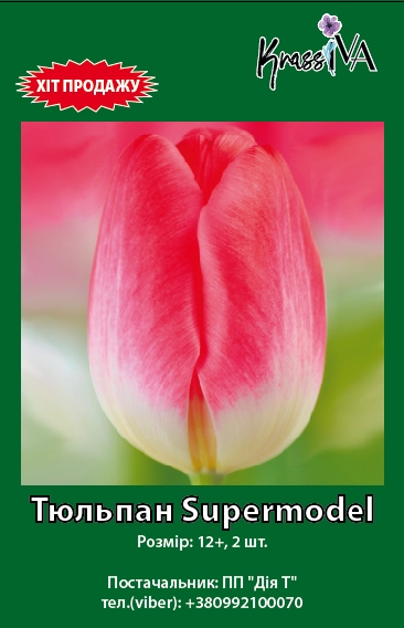 Луковица KrassIVA тюльпан Supermodel 2 шт. 