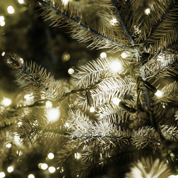 Електрогірлянда лінійна Starlight IP44 (57277) вбудований світлодіод (LED) 100 ламп 5 м 