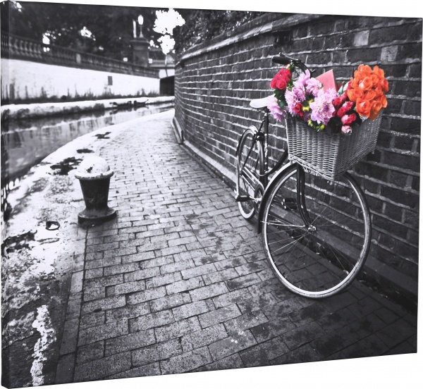 Репродукція 60х80 см AF20110827 Bicycles 171C03 RozenfeldArt 