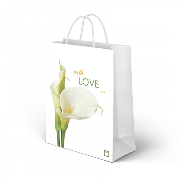 Пакет подарунковий 300х250х150 мм Print 10001 #2