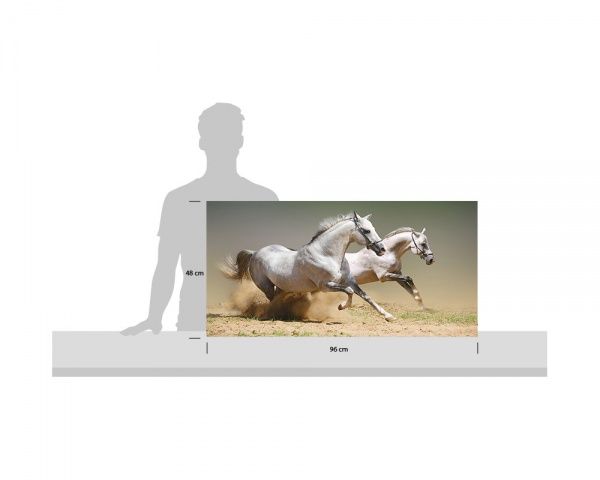 Репродукция Жизнь животных 96x48 см 