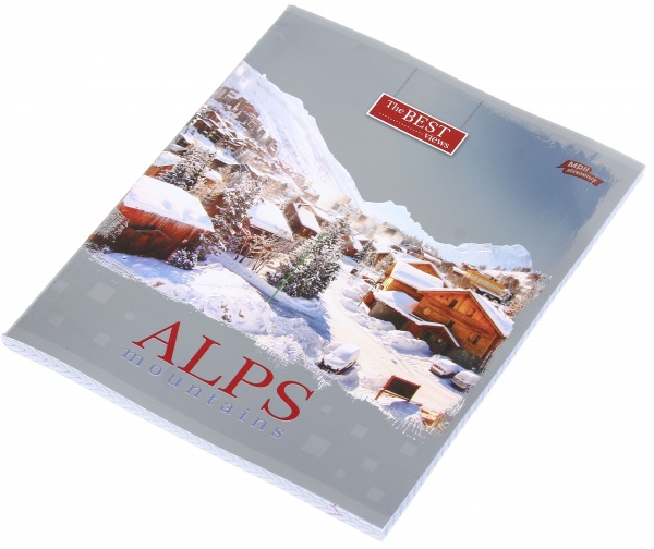 Зошит шкільний срібло 96 аркушів у клітинку в асортименті Мрії збуваються