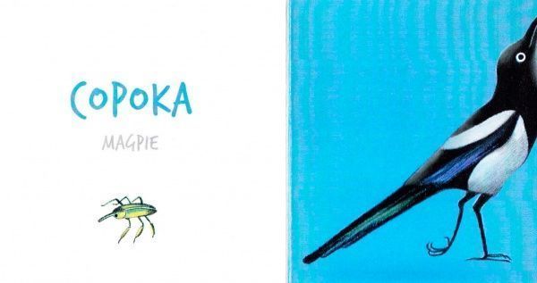 Книга «Книга. Птах» 9786177395262