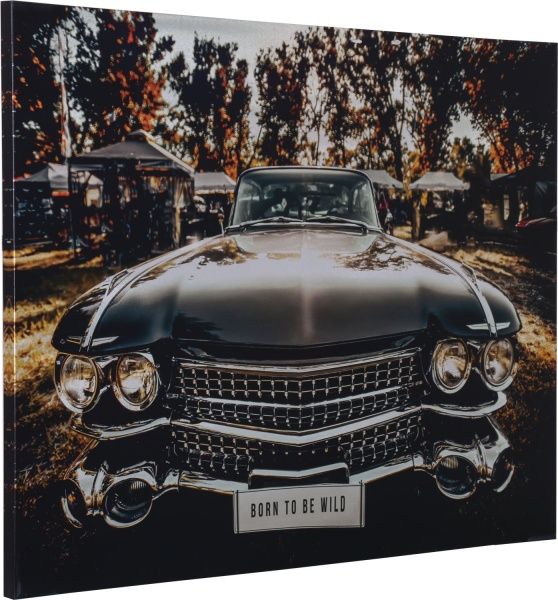 Картина Форсаж 113x85 см Styler CA-13051 