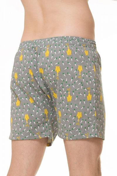 Трусы-шорты мужские KOSTA 0069-6 XXL зеленый