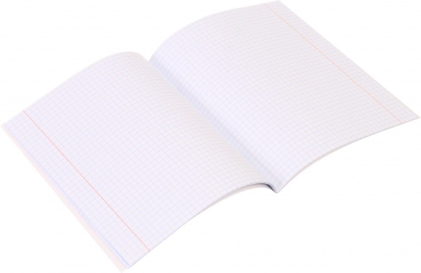 Тетрадь школьная Anime скоба 24 листов в клеточку Мечты сбываются