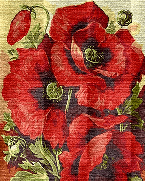 Картина за номерами Маковий цвіт 13129-AC 40х50 см ArtCraft 