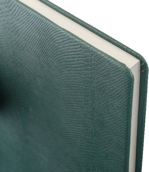 Ежедневник недатированный Amazonia зеленый А4 Buromax