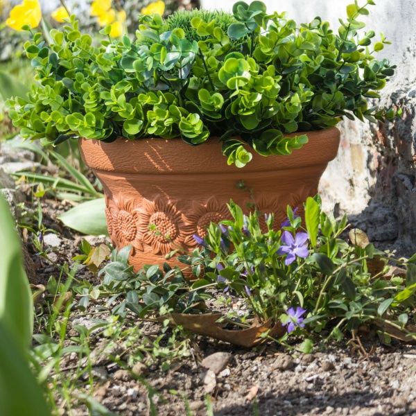 Горщик пластиковий Prosperplast низький SUNNY 400 мм круглий 14л (10328) коричневий 