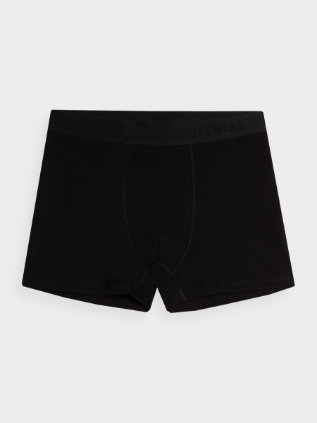 Труси 4F BOXER SHORTS M027 (2PACK) 4FAW23UBXSM027-91S р.L різнокольоровий