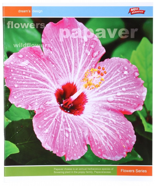 Тетрадь школьная уф-лак 48 листов в клеточку в ассортименте Мечты сбываются