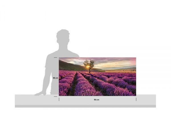 Репродукция Лавандовое поле 96x48 см 