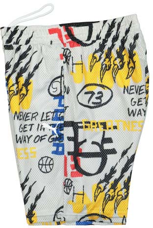 Шорти Puma Mesh Practice Short AOP 53413706 р. M чорний