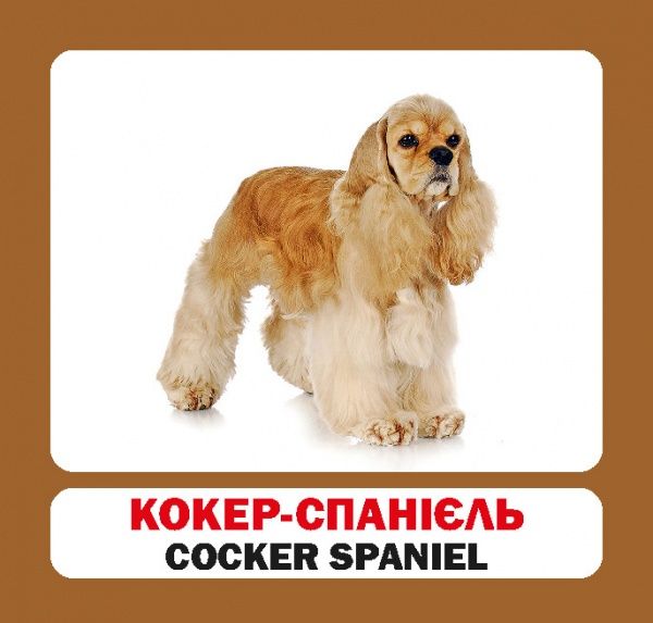 Книга «Навчальний посібник. Собаки . англ-укр»