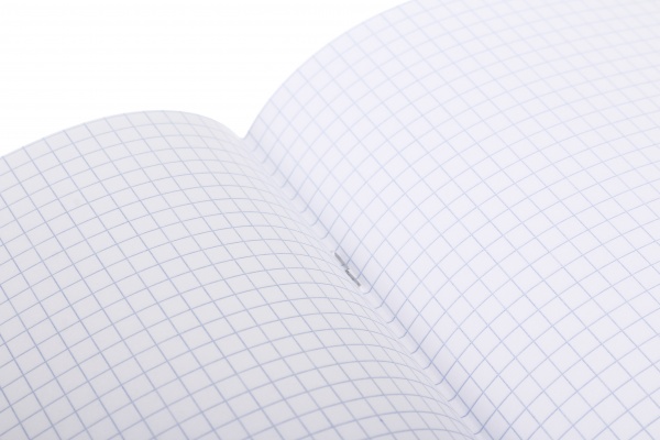 Тетрадь школьная Мавка 24 листов клетка Nota Bene